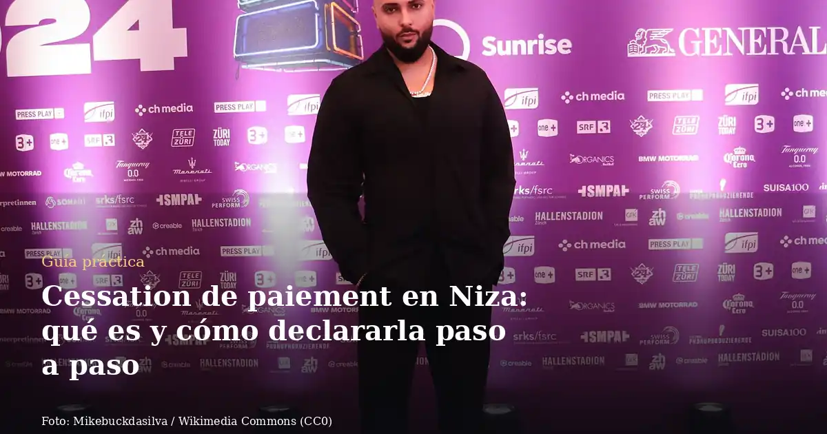 Cessation de paiement en Niza: qué es y cómo declararla paso a paso