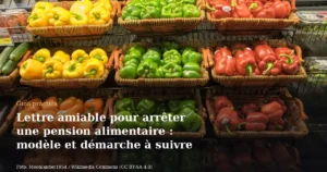 Lettre amiable pour arrêter une pension alimentaire : modèle et démarche à suivre
