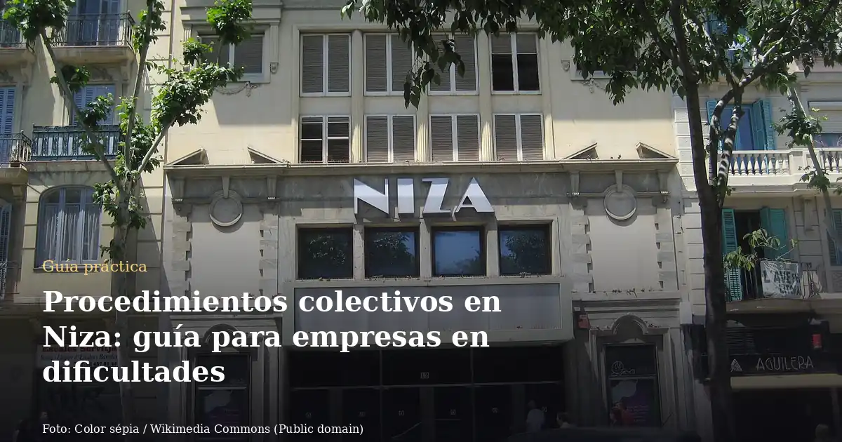 Procedimientos colectivos en Niza: guía para empresas en dificultades