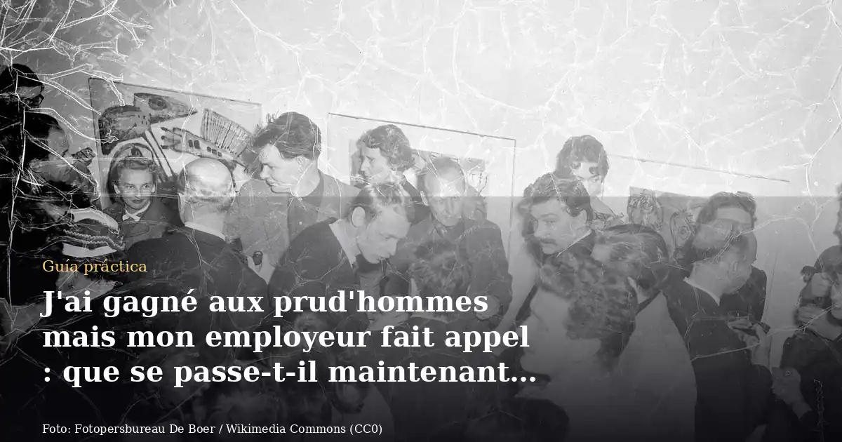 J'ai gagné aux prud'hommes mais mon employeur fait appel : que se passe-t-il maintenant ?